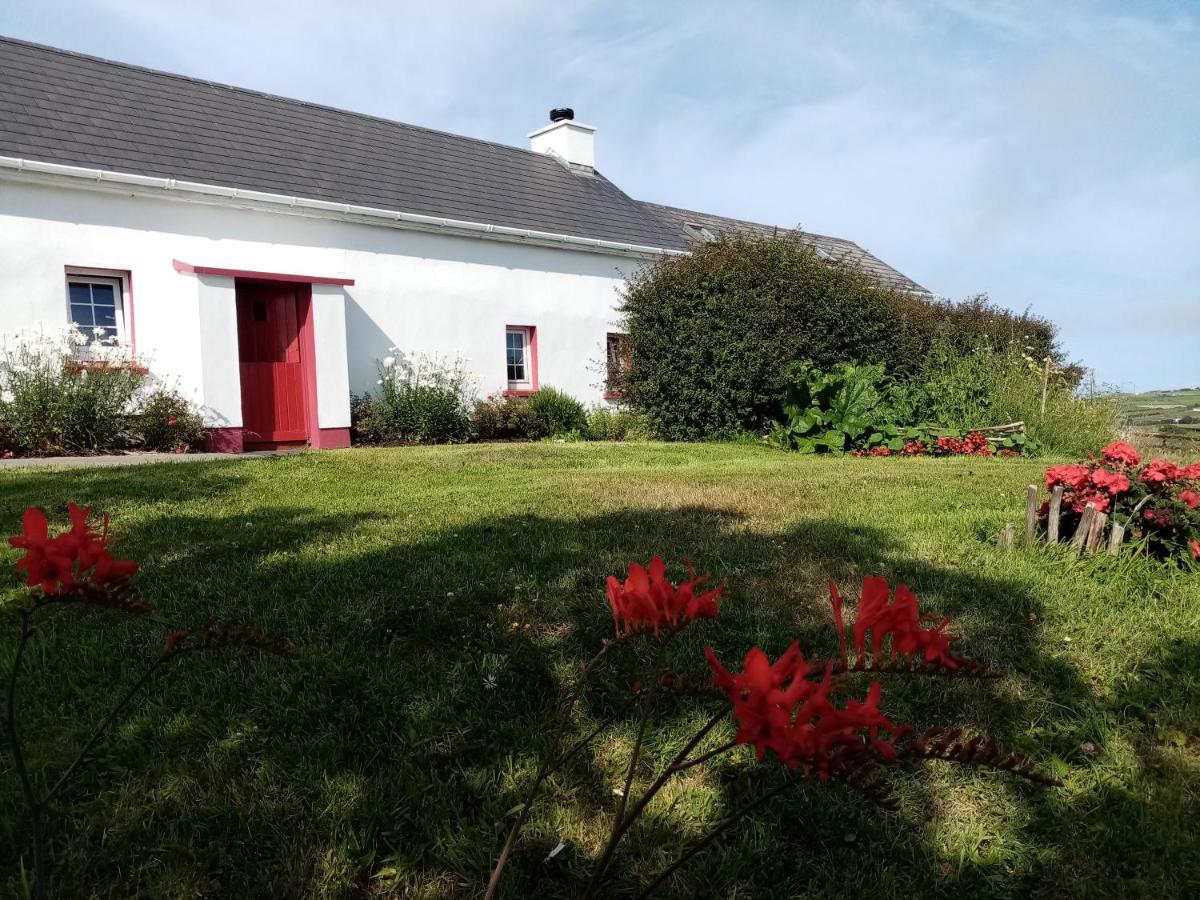 B&B The Red Door Cottage Donegal Town Kültér fotó