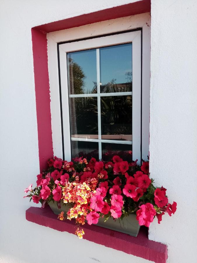 B&B The Red Door Cottage Donegal Town Kültér fotó